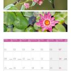 Kalender: Februar 2027. Feiertage: 14. Valentinstag, 21. President's Day. Bilder: Blumen und Kolibris oben.