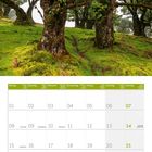 Kalender zeigt Februar 2027. Oben: Dichter Wald mit moosbedeckten Lorbeerbäumen auf Madeira.