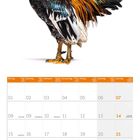 Kalender Februar 2027. Tage und Wochentage sind angegeben. Ein bunter Hahn ist darüber abgebildet.