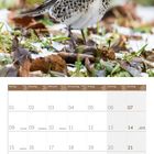 Kalenderseite im Februar 2027 mit Vogelbild; Wochentage und spezielle Tage markiert. Wacholderdrossel im Gras abgebildet.