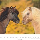 Zwei Pferde schauen sich an vor einem herbstlichen Hintergrund, unten sind Kalendertage von 1 bis 28 nummeriert.