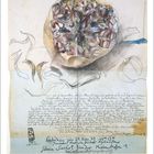 Illustration eines Granatapfels oben. Darunter handschriftlich Notizen und Skizzen. Monatskalender: Februar.