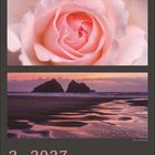 Text: "2 · 2027". Darunter ein Monatskalender. Oben: ein Baum vor farbigem Himmel. Mitte: Nahaufnahme einer rosa Rose. Unten: Strand bei Sonnenuntergang mit Felsen.