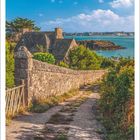 "Nicht da ist man daheim, wo man seinen Wohnsitz hat, sondern wo man verstanden wird. Christian Morgenstern." Kalenderblatt mit Küstenlandschaft.