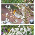 Text: "Februar 1 2 3 4 5 6 7 8 9 10 11 12 13 14 15 16 17 18 19 20 21 22 23 24 25 26 27 28". Schneeglöckchen und ein Rotkehlchen.