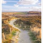 Dünen am Morsum-Kliff, Insel Sylt, 2 | 2027, Kalender. Ein sandiger Weg führt durch eine hügelige Dünenlandschaft.