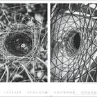 Links: Vogelnest mit Zweigen. Rechts: Modernes Gebäude mit spiralförmiger Glaskonstruktion. Unten: Zahlenreihe von 1 bis 28.