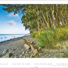 "Östseestrand Felmarn, Schleswig-Holstein", darunter Kieselstrand mit Holzstamm, Küste und Bäume bei klarem Himmel.