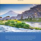 Zitat von Thich Nhat Hanh über Ein- und Ausatmen. Bild eines blühenden Kirschbaums vor einem Berg und Fluss. Kalender unten.