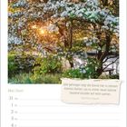 Zitat: "Wie gefangen liegt die Sonne hier in meinem kleinen Garten..." - Karl Ernst Knodt. Blühender Baum im Sonnenlicht.