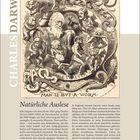 Text: "CHARLES DARWIN", "Punch's Almanack for 1882", "Man is but a worm", "Natürliche Auslese". Illustration: Affen umringen einen Mann.