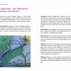 Seite 25: „Nadeln und Faden - Aufgedröselt - der Unterschied zwischen den Garnen". Illustrationen von Garn und Strickarbeiten.