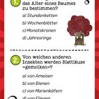 1. Alter eines Baumes: d) Jahresringe. 2. Blattläuse »gemolken«: a) von Ameisen. Illustration: Baum mit Augen und Fragezeichen.