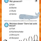 1. Wie wird ein weiblicher Wal genannt? a) Kuh b) Bache c) Stute d) Henne  
2. Welches dieser Tiere hat acht Beine? a) Floh b) Küchenschabe c) Ohrwurm d) Skorpion  
Illustrationen: Wal, Fragezeichen, Beine.
