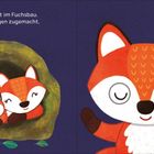 Text: "Familie Fuchs schläft im Fuchsbau. Jetzt schnell die Augen zugemacht, kleiner Fuchs!"
Illustration: Drei schlafende Füchse in einer Höhle und ein Fuchs mit beweglichen Augen.