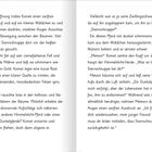 Text auf zwei Seiten: Geschichtsauszug über "Komet", ein Pferd, das ein kleines Wäldchen durchquert und auf "Meteor" trifft.