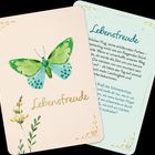 "Lebensfreude" mit grünem Schmetterling und Blumenillustration auf beigem Hintergrund. Daneben Text auf hellblauem Feld.