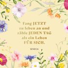 Zitat: „Fang JETZT zu leben an und zähle JEDEN TAG als ein Leben FÜR SICH.“ – Seneca. Blütenillustration als Umrahmung.
