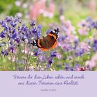 Zitat: „Träume dir dein Leben schön und mach aus diesen Träumen eine Realität.“ - Marie Curie. Schmetterling auf Blumen.