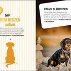 Linke Seite: "34. Mit dem Herzen sehen". Rechte Seite: "Einfach du selbst sein". Bild von einem Hund auf einem steinigen Untergrund.