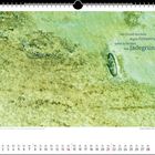 Am Grund des Sees liegen Erinnerungen unter Schichten von Jadegrün. Sandige Fläche in verschiedenen Grüntönen.