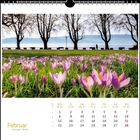 „Februar“, gefolgt von Wochentagen und Daten. Eine Wiese mit violetten Krokussen und kahlen Bäumen am Seeufer.