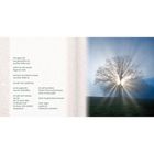 Links Gedicht über Gottes Willen. Rechts Baum vor hellem Himmel, Lichtstrahlen durch Äste. Texte reflektieren Zweifel.