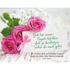 Eine Karte mit Psalm 91,11-12 und rosa Rosen mit Schleife darunter.