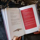 Ahnen-Reflexion: Prüfe, ob die Hexenwunde in dir wirkt 47  
Körperreflexion: Spüre deine Resonanz 48  
Selbstermächtigung & Integration 49  
Verkörperte Ahnenarbeit 55  
Deine Heil-Dehnung: Der Drache 62  
Deine Heil-Dehnung: Die Banane 65  
Deine Heil-Dehnung: Der Schwan 67  
Kosmische Frequenzen 86  
Sprich. Spüre. Entscheide. 91  
Die Acht Urmuster 94  
1. Mangelbewusstsein 96  
Yin-Übung: Supported Child’s Pose 97  
2. Unterdrückung von Emotionen 98  
Yin-Übung: Dragonfly 99  