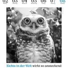 Kalender: August, Montag 02 bis Sonntag 08. Zitat von Charles Dickens über Lachen. Schwarz-weiß Foto einer Eule.