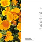 Links gelbe Blüten von kalifornischem Goldmohn, rechts Inhaltsverzeichnis mit Kapiteln über Emil Nolde und seinen Garten.
