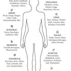 Zeigt astrologische Symbole mit zugeordneten Körperteilen, z.B. "WIDDER: Kopf, Gehirn, Augen, Nase, Zähne" um eine menschliche Silhouette.