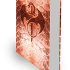 Kein Text sichtbar. Illustration eines Buches mit Drachensymbol auf schuppenartigem, orangefarbenem Hintergrund.