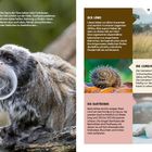 "TIERISCH HAARIG!", Der Kaiserschnurrbart-Tamarin, Der Löwe, Die gemeine Haarschnecke, Die Bartrobbe. Fotos von Tieren.