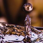 Text: "Unser Leben, womit lässt es sich vergleichen?... Dōgen Zenji. Februar 2027". Wassertropfen und verschwommener Hintergrund.