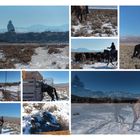 „Ranch“, „trotz -15°C“. Cowboys treiben Rinder in verschneiter Landschaft, Pferde und rustikale Szenen.
