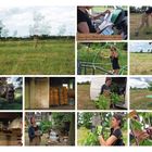 Baumcheck. Welcher Baum braucht was, ist wie alt und welche Sorte? Frau in Arbeitskleidung pflegt Bäume auf einem Feld.