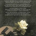 Text über Naziherrschaft, Kontrolle und Widerstand. Illustration einer weißen Rose auf einem zerrissenen Hakenkreuz.