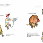 Fünf Hühner werden von verschiedenen Personen gehalten, jedes Huhn einem Familienmitglied zugeordnet.