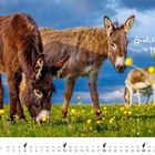 "Gretchen + Paul", darunter steht "April". Zwei Esel grasen auf einer Wiese voller gelber Blumen.