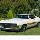 Kalender „Februar“. Retro-Auto, weiß mit Streifen, parkt auf Gras, umgeben von grünen Bäumen.