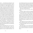 Doppelseitiger Buchtext, nummeriert mit 16 und 17 unten. Gespräch über Wasserschaden, Renovierung und Trocknungsgeräte.