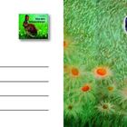 Links: "Von den Wiesentieren". Rechts: Gemälde mit großem blauen Schmetterling auf grünem Hintergrund mit gelben Blüten.