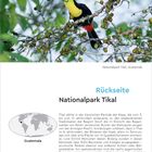 Vorderseite: 5 Juni, Samstag. Rückseite: Nationalpark Tikal. Guatemala. Bild: Tukangeier auf Zweig.