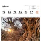 Februar KW 8. Daten: 22 Montag, 23 Dienstag, 24 Mittwoch, 25 Donnerstag, 26 Freitag, 27 Samstag, 28 Sonntag.