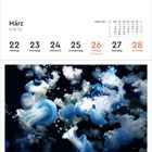 Kalender für März 2027, Woche 12. Blaue Quallen schweben im Wasser.