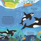 Texte: "Southern Resident Orcas", "In the chilly waters...", "Eba, a scent-detection dog...", "Southern Resident orcas have been observed...". Illustration: Mehrere Orcas im Ozean, ein Boot mit Hund und Wissenschaftler. Eine Karte zeigt die Küste Nordamerikas.