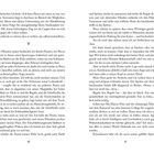 Seite 16: „Ich schlucke so schwer, dass es wehtut.“ Seite 17: „Regeln hin, Regeln her – das hier ist falsch.“