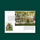Seite 39, Tita Giese, Pflanzeninseln. Texte über Kunstprojekte und Vegetation. Bilder von Palmen und Menschen in einer urbanen Umgebung.