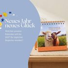 Neues Jahr neues Glück. Welcher unserer Kalender soll für 2027 Ihr täglicher Begleiter werden? Ein Tischkalender mit einem Schaf und einer Ziege.